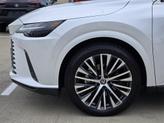 Thumbnail of 2024 White Lexus RX 350