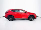 Thumbnail of 2024 Redline Lexus NX 250