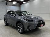 Thumbnail of 2019 Nebula Gray Pearl Lexus NX 300