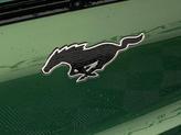 Thumbnail of 2025 Eruption Green Metallic Ford Mustang Mach-E