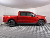 Thumbnail of 2023 Red Ford F-150