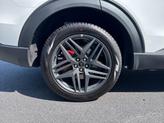 Thumbnail of 2025 White Ford Explorer