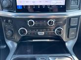Thumbnail of 2025 Gray Ford F-150