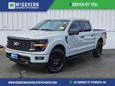 Photo of 2024 Avalanche Gray Ford F-150