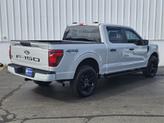 Thumbnail of 2024 Avalanche Gray Ford F-150
