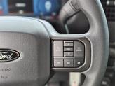 Thumbnail of 2024 Avalanche Gray Ford F-150