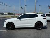 Thumbnail of 2022 Alfa White Alfa Romeo Stelvio
