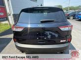 Thumbnail of 2021 Blue Ford Escape