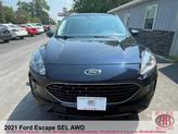 Thumbnail of 2021 Blue Ford Escape