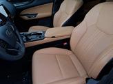 Thumbnail of 2024 Nori Green Pearl Lexus NX 250