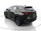 Thumbnail of 2024 Nori Green Pearl Lexus NX 250