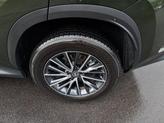 Thumbnail of 2024 Nori Green Pearl Lexus NX 250