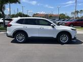 Thumbnail of 2026 Platinum White Pearl Honda CR-V