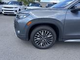Thumbnail of 2025 Platinum Volkswagen Tiguan