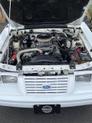 Thumbnail of 1984 White Ford Mustang