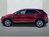 Thumbnail of 2025 Radiant Red Tintcoat Cadillac XT5