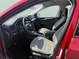 Thumbnail of 2022 Rapid Red Metallic Tinted Clearcoat Ford Escape