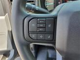 Thumbnail of 2025 Gray Ford F-250