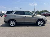 Thumbnail of 2019 Pepperdust Metallic Chevrolet Equinox