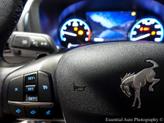Thumbnail of 2024 Cactus Ford Bronco Sport
