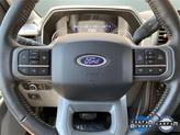 Thumbnail of 2022 Stone Gray Metallic Ford F-150