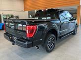 Thumbnail of 2023 Agate Black Metallic Ford F-150