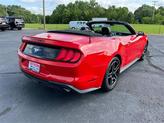 Thumbnail of 2022 Race Red Ford Mustang
