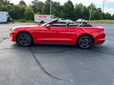 Thumbnail of 2022 Race Red Ford Mustang