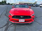 Thumbnail of 2022 Race Red Ford Mustang