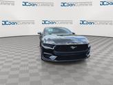 Thumbnail of 2025 Shadow Black Ford Mustang