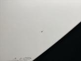 Thumbnail of 2021 White Knuckle Clearcoat Dodge Durango