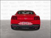 Thumbnail of 2025 RACE RED Ford Mustang