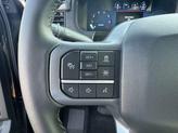 Thumbnail of 2025 AGATE BLACK METALLIC Ford F-150