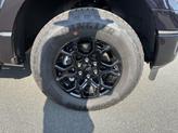 Thumbnail of 2025 AGATE BLACK METALLIC Ford F-150