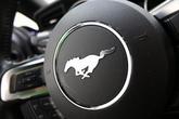 Thumbnail of 2019 Kona Blue Metallic Ford Mustang