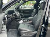 Thumbnail of 2025 Ebony Black Kia Telluride