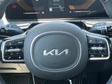 Thumbnail of 2025 Panthera Metal Kia Sorento
