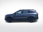 Thumbnail of 2025 Panthera Metal Kia Sorento