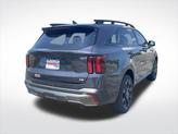 Thumbnail of 2025 Panthera Metal Kia Sorento