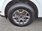 Thumbnail of 2022 Oxford White Ford Maverick
