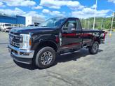 Thumbnail of 2025 Agate Black Metallic Ford F-250