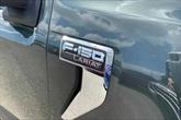 Thumbnail of 2021 Guard Metallic Ford F-150