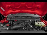 Thumbnail of 2025 White Ford F-350