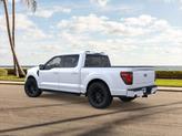 Thumbnail of 2025 White Ford F-150