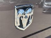 Thumbnail of 2019 RV Match Walnut Brown Metallic Clearcoat RAM 1500
