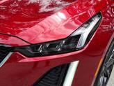 Thumbnail of 2023 Radiant Red Tintcoat Cadillac CT5