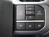 Thumbnail of 2025 Gray Ford F-150