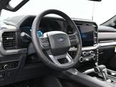 Thumbnail of 2025 Gray Ford F-150