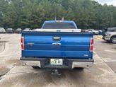Thumbnail of 2010 Blue Flame Metallic Ford F-150