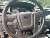 Thumbnail of 2010 Blue Flame Metallic Ford F-150
